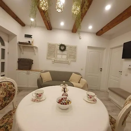 The Hedgehog Boutique House & Garden *