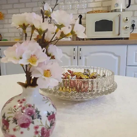 The Hedgehog Boutique House & Garden