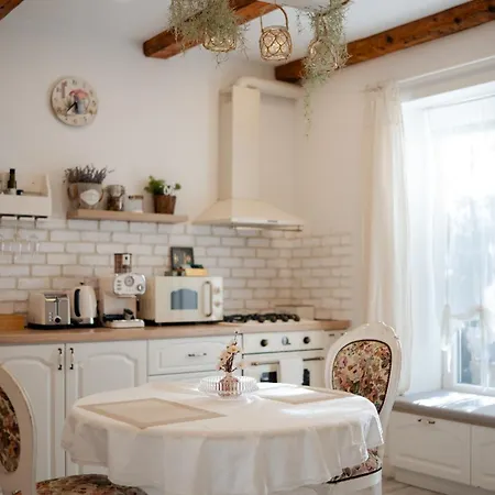 Lejlighed The Hedgehog Boutique House & Garden Cluj-Napoca