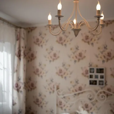 The Hedgehog Boutique House & Garden