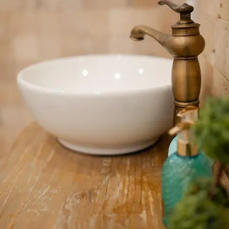 The Hedgehog Boutique House & Garden Cluj-Napoca