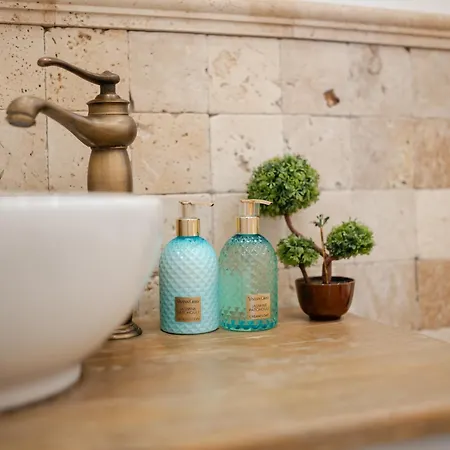 The Hedgehog Boutique House & Garden Cluj-Napoca