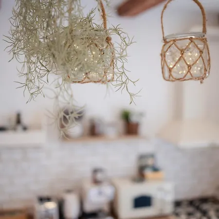 The Hedgehog Boutique House & Garden * Cluj-Napoca