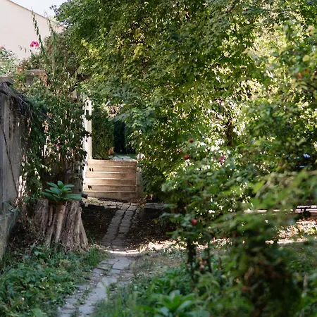 The Hedgehog Boutique House & Garden Lejlighed Cluj-Napoca