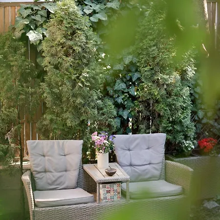 The Hedgehog Boutique House & Garden * Cluj-Napoca